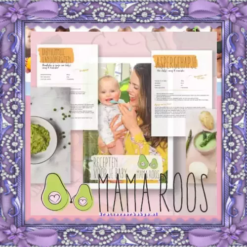 Klik HIER en vraag informatie Gratis e-kookboek met baby recepten voor een gezonde maaltijd E-book de eerste 6 maanden babyboek